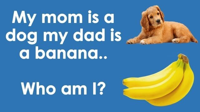 my mom is a dog my dad is a banana who am i