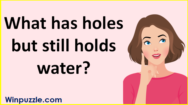 What is full of holes but still holds water?