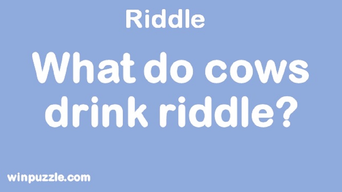 What do cows drink riddle